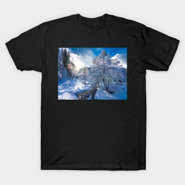 Sunset in the forest covered with snow T-Shirt by naturalis